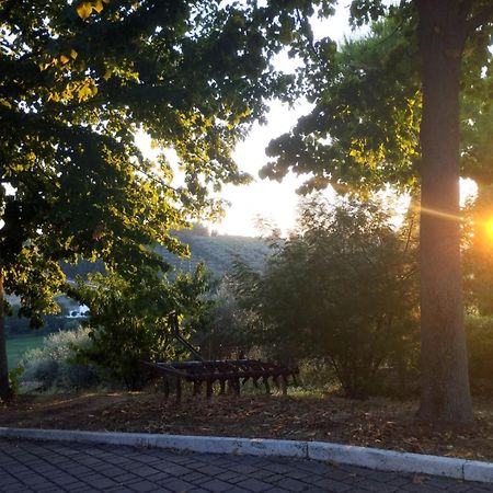 Il Mandorlo B&B Чивитанова-Альта Экстерьер фото
